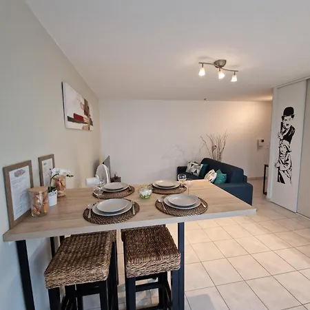Cosy Groupama Stadium-ldlc Arena Climatise Apartment